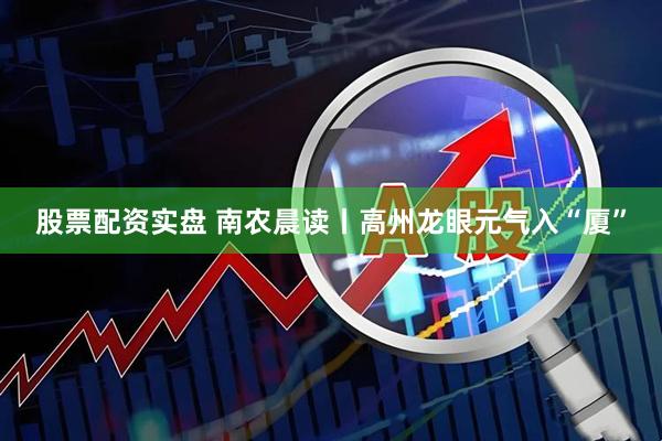股票配资实盘 南农晨读丨高州龙眼元气入“厦”