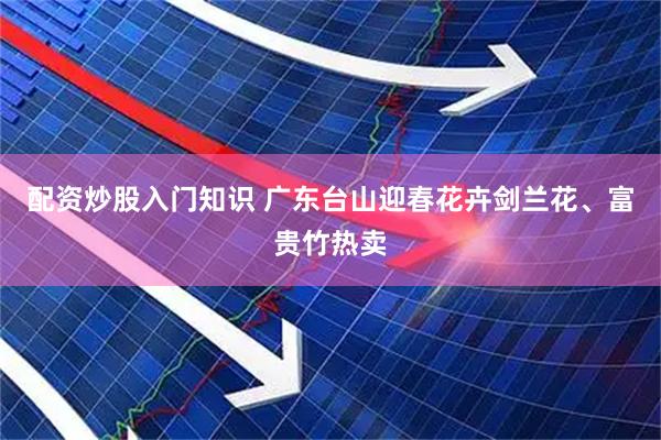 配资炒股入门知识 广东台山迎春花卉剑兰花、富贵竹热卖